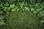 artificial grass no weeds